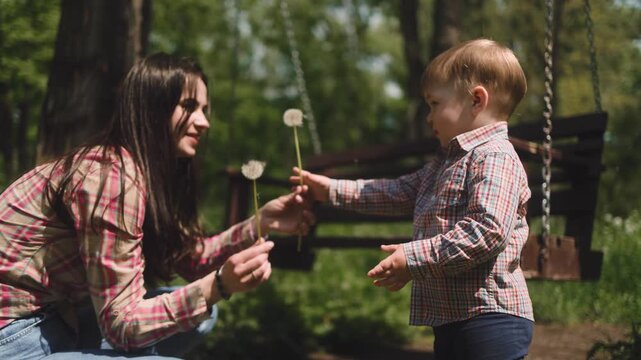 A little boy holds out fluff dandelions to his beautiful young mother while playing in a green park near a wooden swing bench. Family, childhood, spring, motherhood, nature, love, happiness