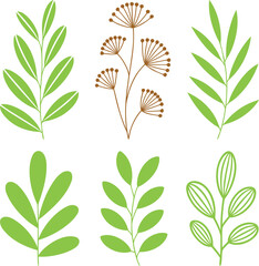 Fototapeta premium Collection of six simple botanical illustrations in green with hand drawn, white background