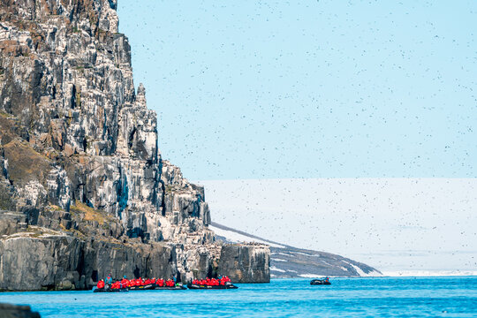 Svalbard, Svalbard and Jan Mayen - 13 July 2025: View of Alkefjellet bird cliffs with tourists in zodiac boats and thousands of birds flying against a clear blue sky.