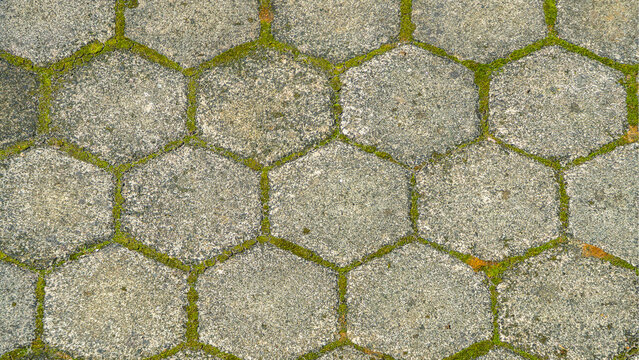 Hexagonal Concrete Paving Block Pattern with Green Moss in Joints