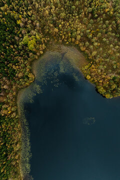 Aerial View of Lake Torpasj&ouml;n and Autumn Forest Sweden