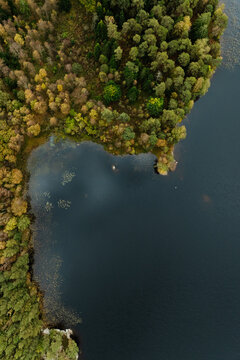 Aerial Top Down View of Forest Peninsula at Lake Torpasj&ouml;n Sweden in Autumn
