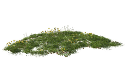 Fototapeta premium Flower meadow terrain with small white flowers isolated on transparent background. 3D rendering.