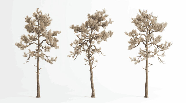 Dry dead bare pine trees collection winter landscape design elements