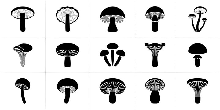 Mushroom silhouette icon set featuring varied cap shapes and striped gills on clean grid layout featuring fungi, toadstool, vector style with