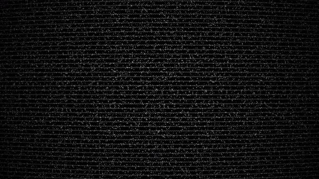 Retro static noise and line texture like an old television lens distortion
