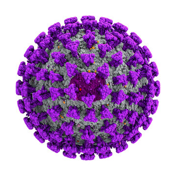 Herpes Simplex Virus Scientific 3D Render Isolated