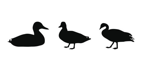 Minimal duck silhouette vector icon farm anima on white © MDHABIB