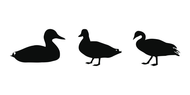 Minimal duck silhouette vector icon farm anima on white