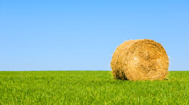 Round hay bale sitting on a vibrant green field under a clear blue sky