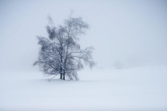 Hiver au Revard