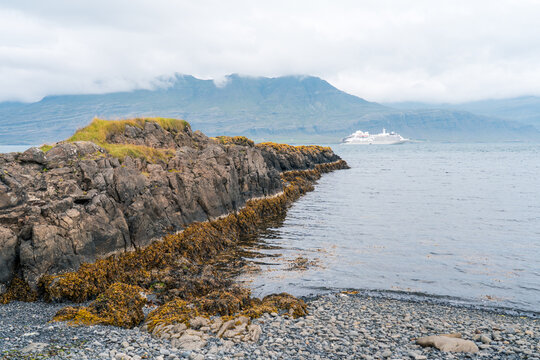 View of a rocky shoreline covered in brown seaweed with a cruise ship sailing in the fjord under cloudy mountains in Djupivogur, Mulathing, Iceland.