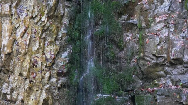 Small waterfall trickling down a mossy rock face