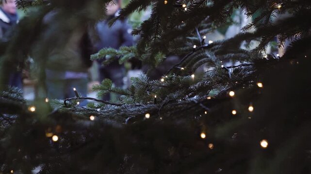 Weihnachtsbaum mit leuchtender Lichterkette in winterlicher Stimmung