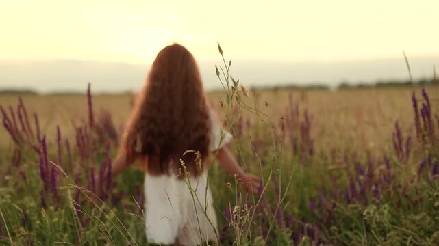 Cute little girl walks touching high grass along field at sunset light backside view. Adorable little girl walks among wild plants in rural field on holiday. Little girl rests walking along field