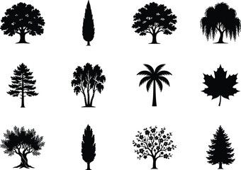 Fototapeta premium Collection of tree silhouettes against a white background showcasing various botanical forms shapes illustration black flora foliage deciduous trees coniferous palm willow