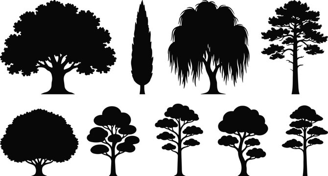 Tree silhouettes against a white background a collection of various arboreal shapes shape foliage woodland forest deciduous evergreen conifer cypress willow oak