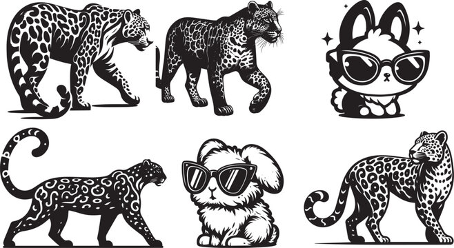 Leopards and a cute bunny in sunglasses walk and pose during a studio photoshoot
