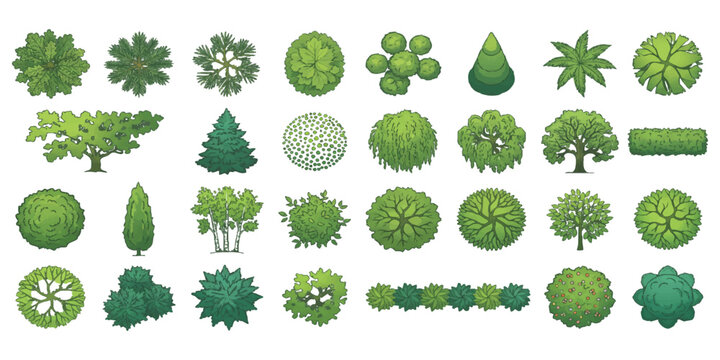 Collection of flat architectural tree symbols from top view perspective for landscape design plan maps