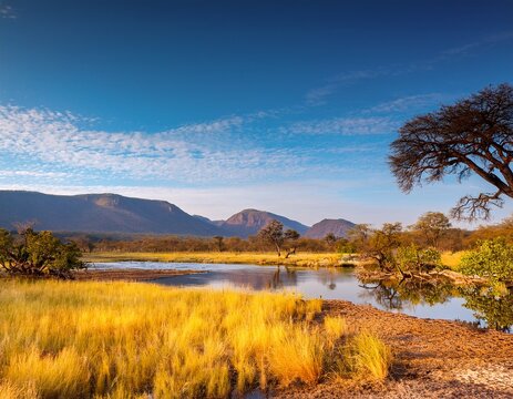african landscape in the hwange national park zimbabwe