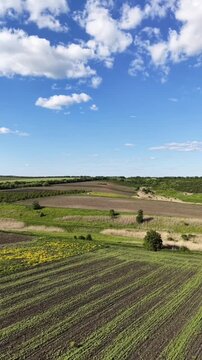 Vertical drone footage over blooming fields and rural landscape under cloudy sky