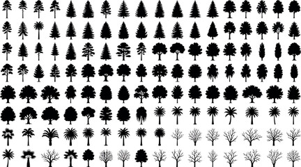 Set of various tree silhouettes isolated on white background © SampaRani