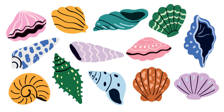 Colorful sea shells and conches vector collection. Marine life mollusk elements isolated on white background for summer design, textile prints and seamless patterns.