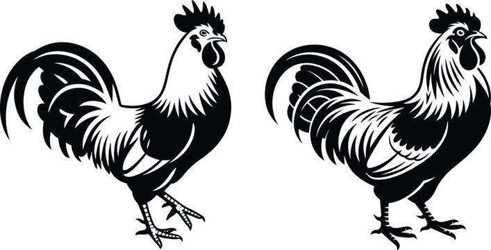 Two proud roosters in black and white silhouette style with roosters silhouette illustration agriculture wildlife stylized cock-a-doodle-doo