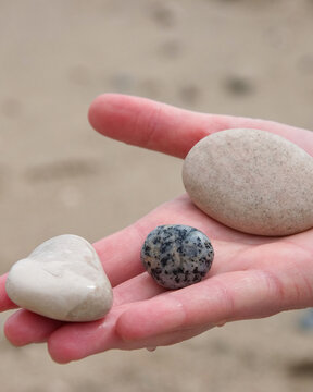 Hand holds three stones found on a beach during a sunny day by the shore