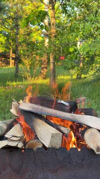 Burning wood Campfire in nature, barbecue. Campfire at touristic camp at nature. Flame amd fire sparks. Cooking barbecue outdoor. Hellish fire element. Fuel, power and energy.Green Grass firewood day