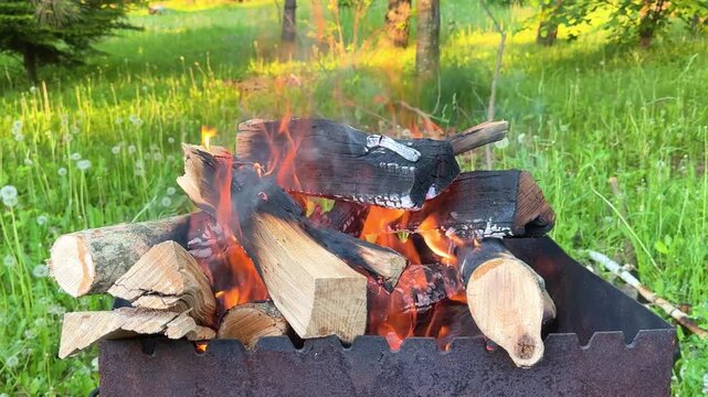Burning wood Campfire in nature, barbecue. Campfire at touristic camp at nature. Flame amd fire sparks. Cooking barbecue outdoor. Hellish fire element. Fuel, power and energy.Green Grass firewood day