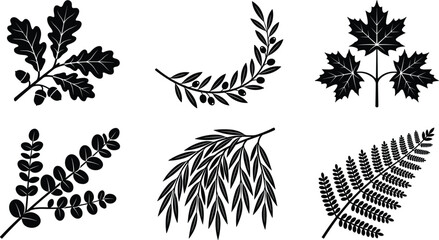 Botanical Tree Leaves Black Silhouette Icon Set Featuring Oak Branch with Acorns Olive Wreath Maple Leaves Eucalyptus Willow and Fern Frond Vector Graphics © Rimu
