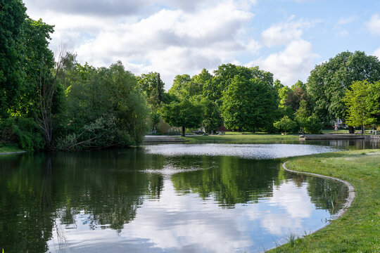 lake in the park