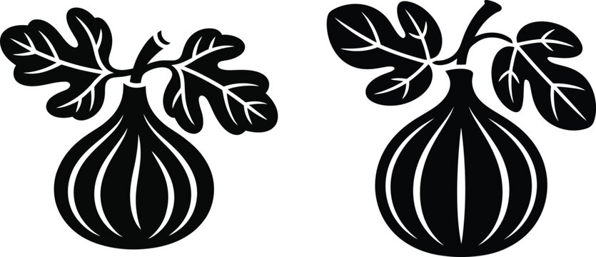 Two stylized figs with leaves isolated black and white vector illustration botanical illustration isolated ingredient silhouette