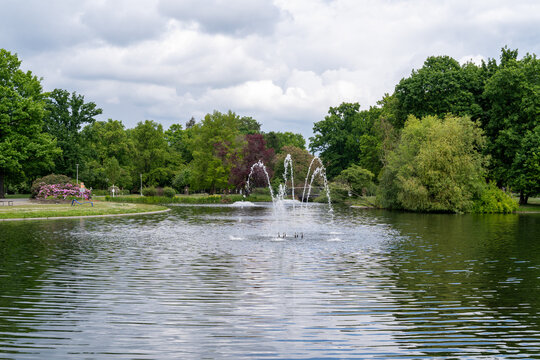 river in the park