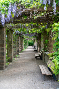 pathway park