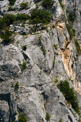 Naklejka premium Rock climbers on a steep limestone cliff face