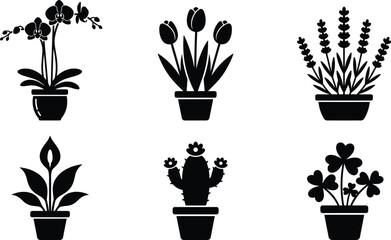 Potted Houseplants and Flowers Black Silhouette Icon Set Featuring Orchid Tulip Lavender Peace Lily Cactus and Clover For Gardening and Decoration Designs © Rimu
