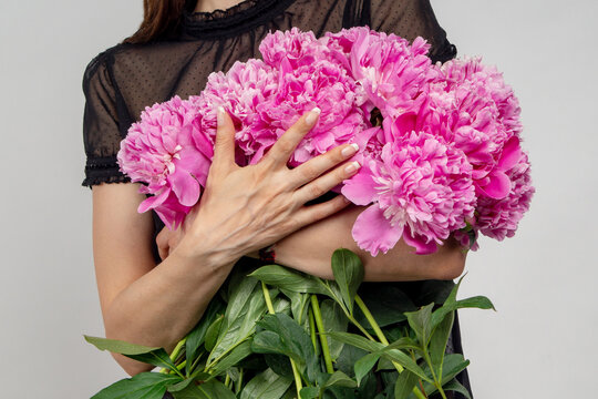 Close-up of female hands hugging a large armful bouquet of fresh pink peonies against a grey background. Variety Sarah Bernhardt, Alexander Fleming, Kansas. Paeonia lactiflora.