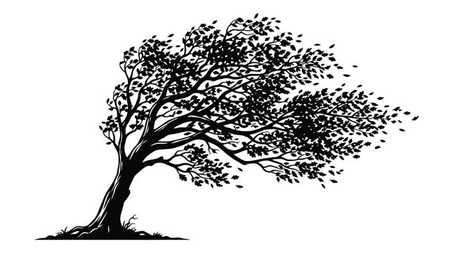 Windblown tree silhouette against a white background