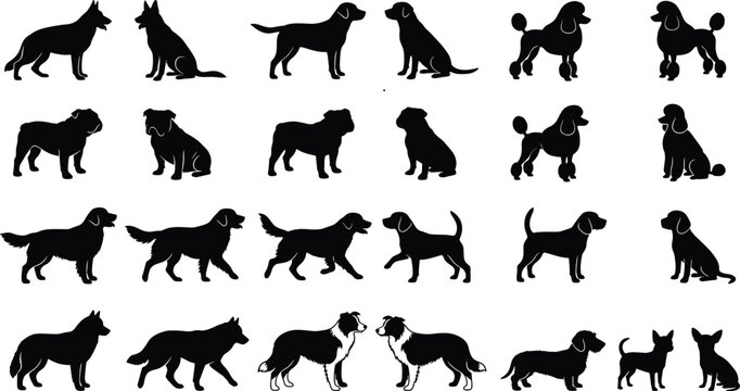 Disabled people silhouettes set with characters in wheelchair crutches blind and amputee people isolated on white background