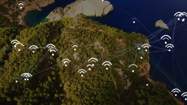 Forested headland forming network after pulses, nodes glowing and linking seaward, mapping flow
