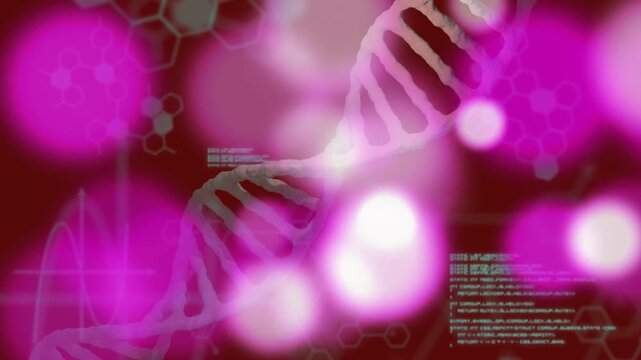 3D DNA helix shifting as cyan code appearing, pulling magenta bokeh drifting, creating abstract HUD