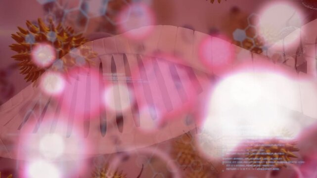 On play DNA helix stretching, pink bokeh drifting and obscuring helix, showing molecular context