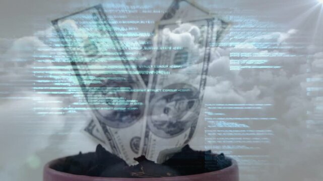 On animation start pair of dollar bills rising from pot soil, cyan lines sweeping, showing growth