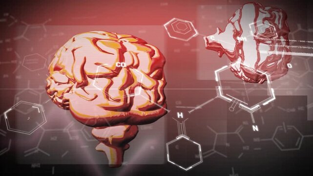 On start, large 3D brain rotating while hexagons and tags animating for neural visualization