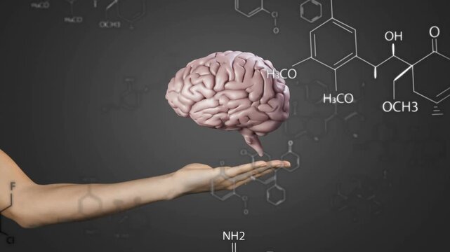 Left hand entering, brain appearing, hovering and rotating above palm, showing brain chemistry
