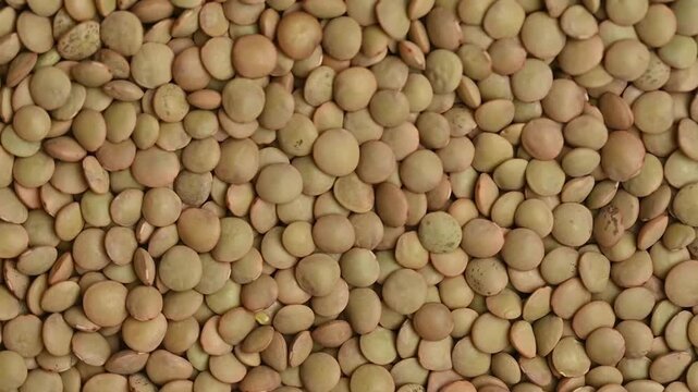 A top-down, close-up shot of dry green lentils slowly rotating. Perfect for themes related to healthy eating, vegan food, agriculture, and organic ingredients.