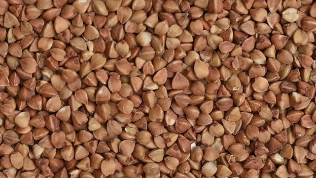 A top down, close-up shot of roasted buckwheat grains rotating slowly. Perfect for topics related to healthy eating, vegan food, agriculture and organic ingredients.