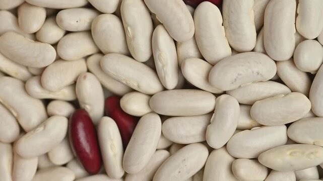 A top down, close-up shot of white and red beans rotating slowly. Perfect for topics related to healthy eating, vegan food, agriculture and organic ingredients.